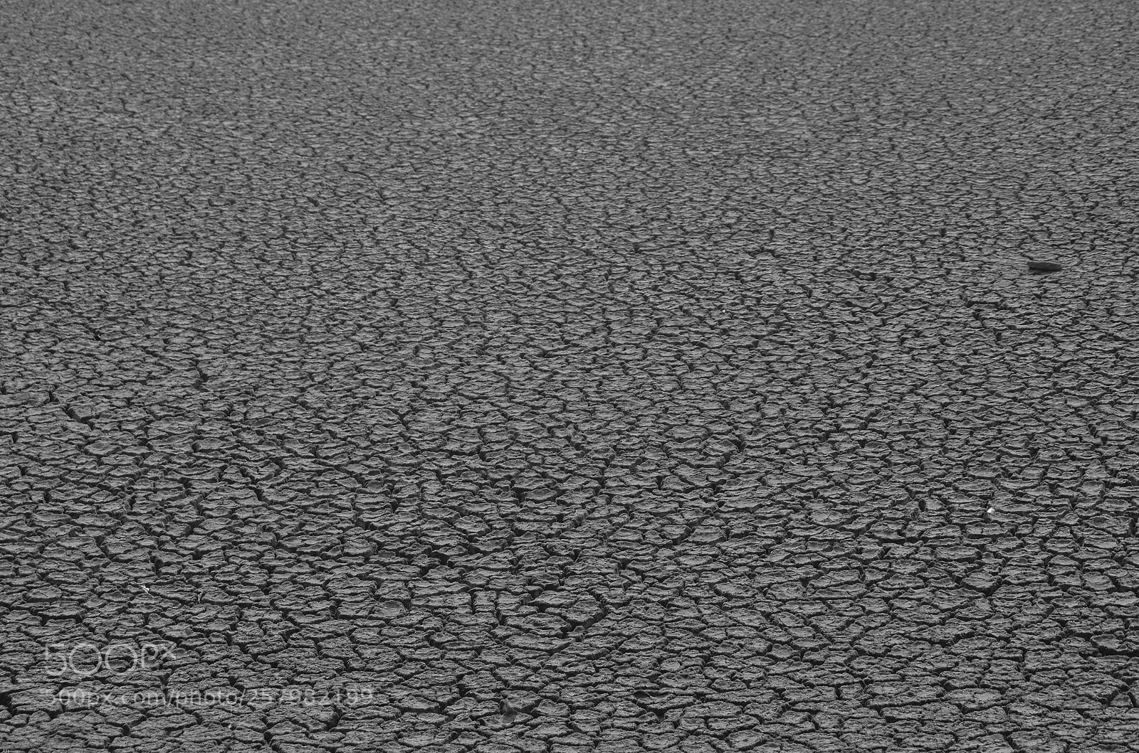 Nikon D7000 sample photo. Drought photography