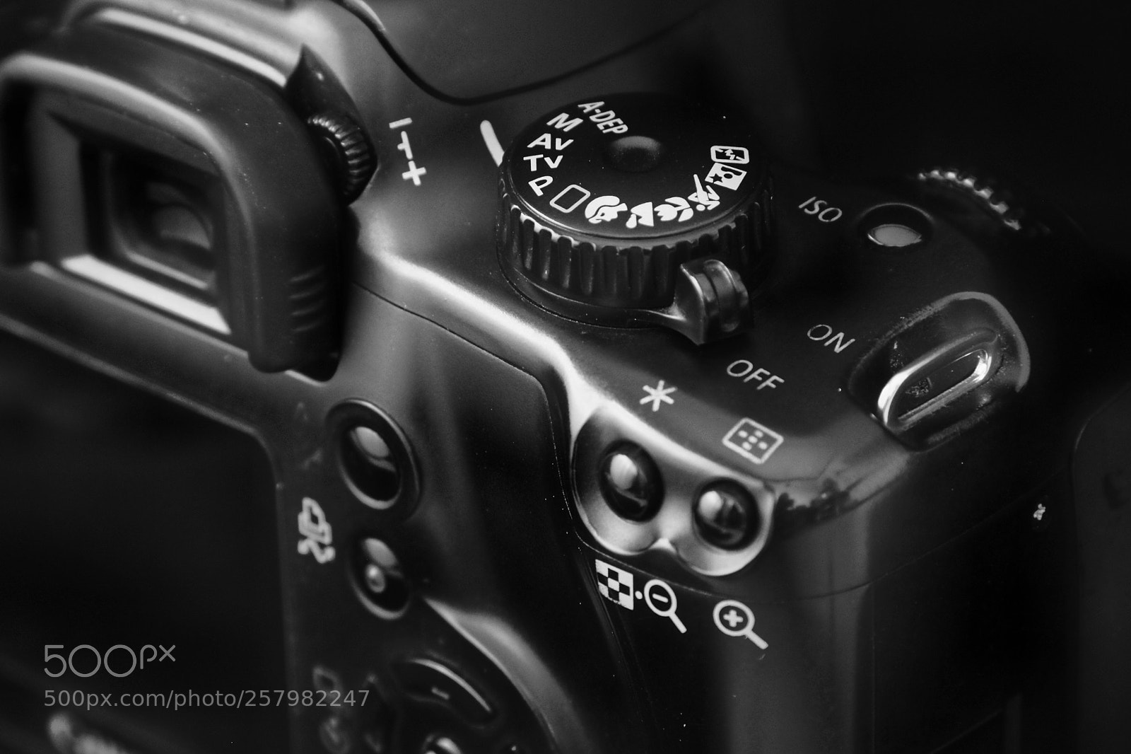 Canon EOS 760D (EOS Rebel T6s / EOS 8000D) sample photo. Untitled photography