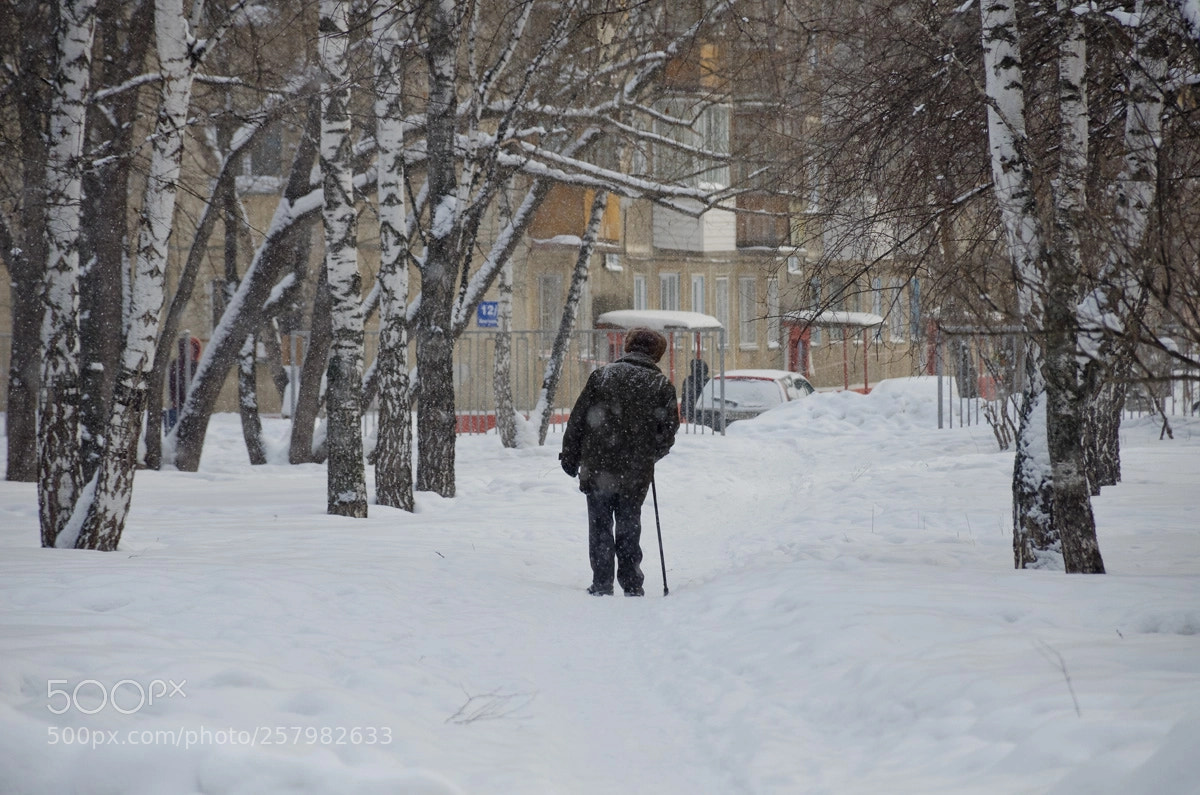 Nikon D7000 sample photo. Старик с тростью photography