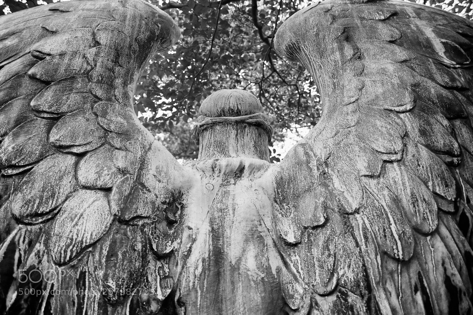 Canon EOS 350D (EOS Digital Rebel XT / EOS Kiss Digital N) sample photo. Angel don - 004 photography