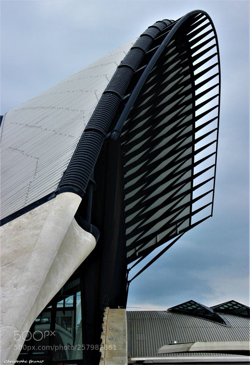 Canon EOS 600D (Rebel EOS T3i / EOS Kiss X5) sample photo. Gare sncf photography