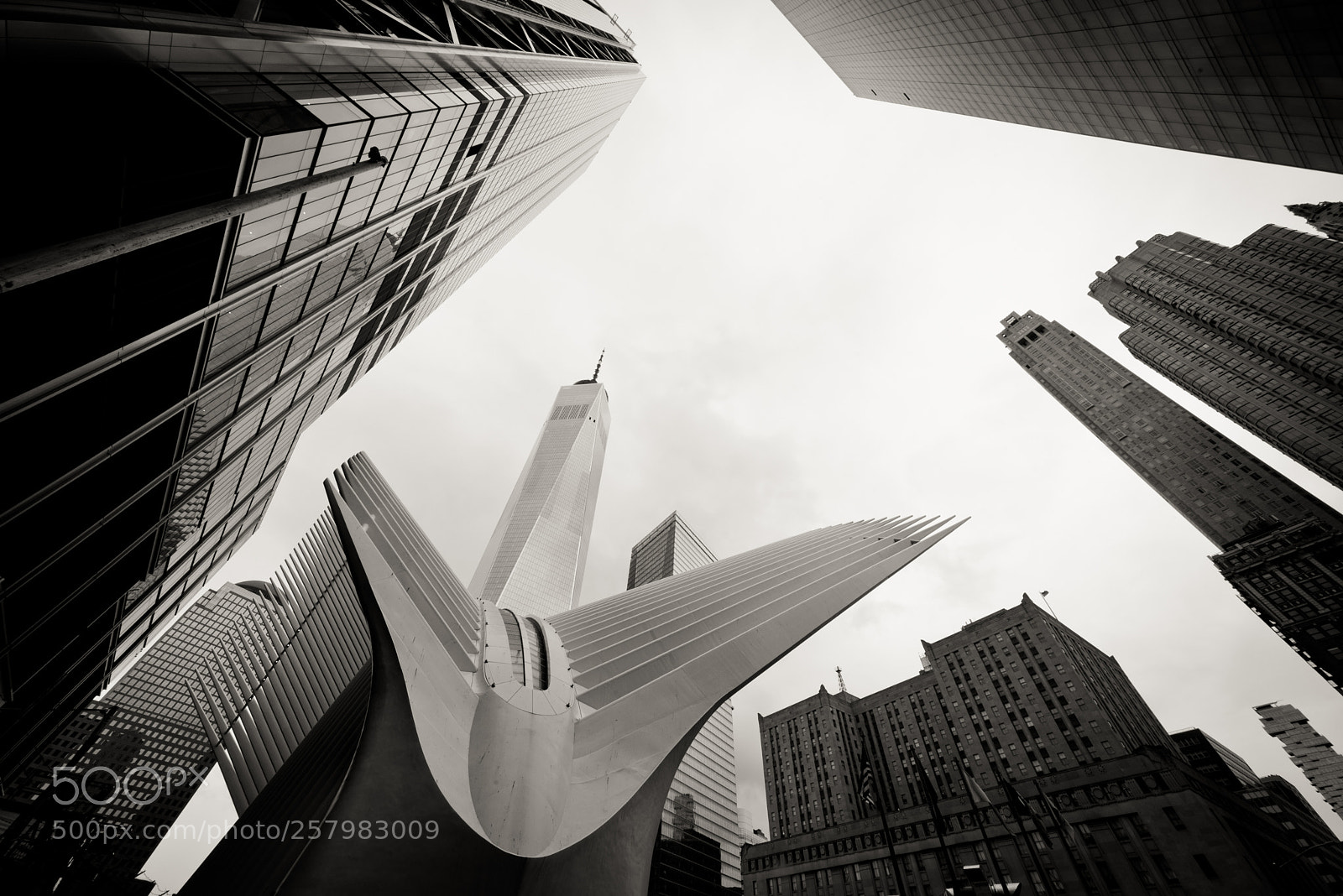 Nikon D610 sample photo. _flying though the skyscrapers_ photography