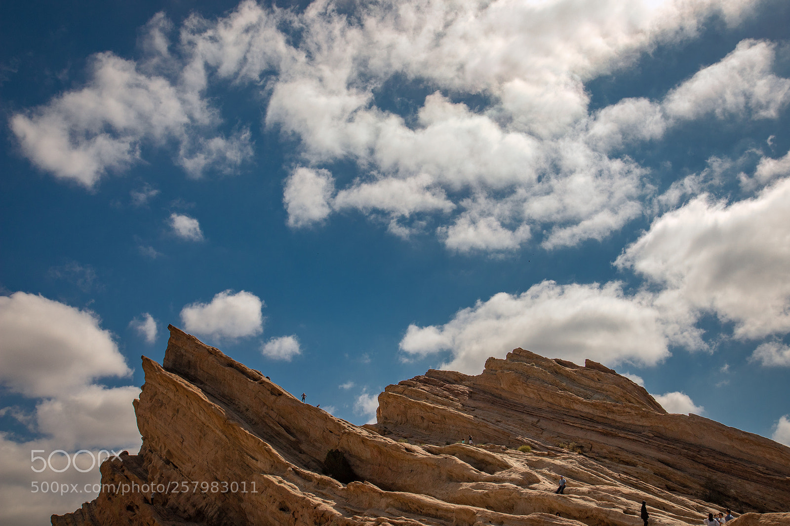 Canon EOS 7D Mark II sample photo. The pride rock photography