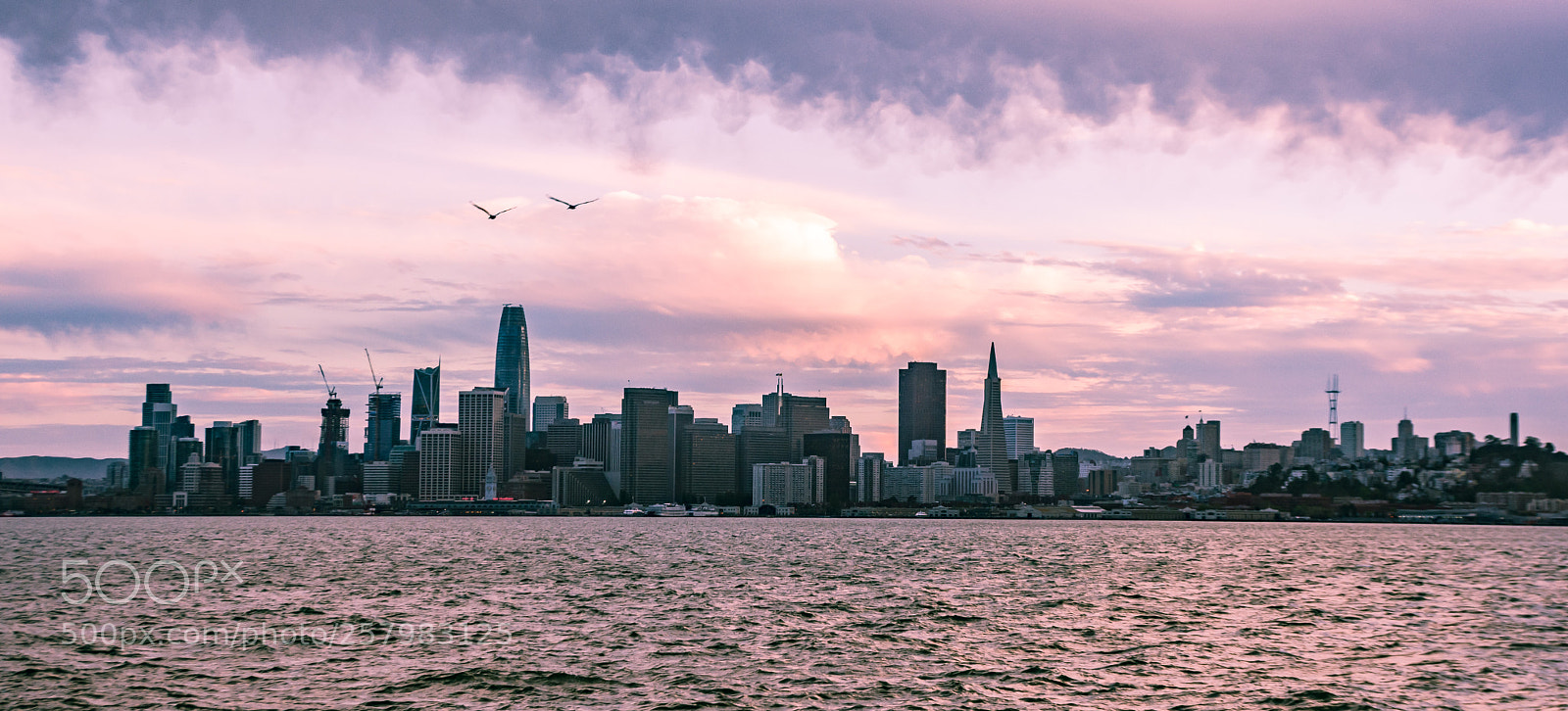 Nikon D7200 sample photo. Goodnight san francisco photography
