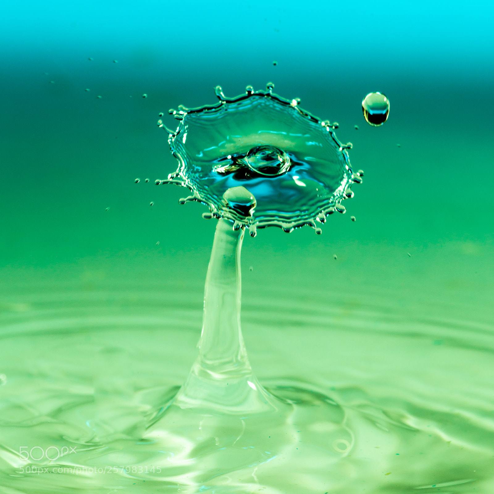 Canon EOS 6D sample photo. Drops photography