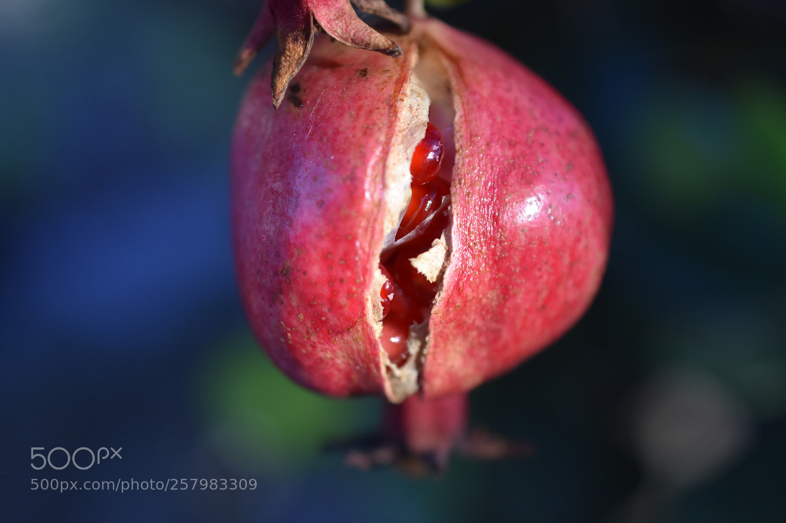 Nikon D3400 sample photo. Sweet fissure photography