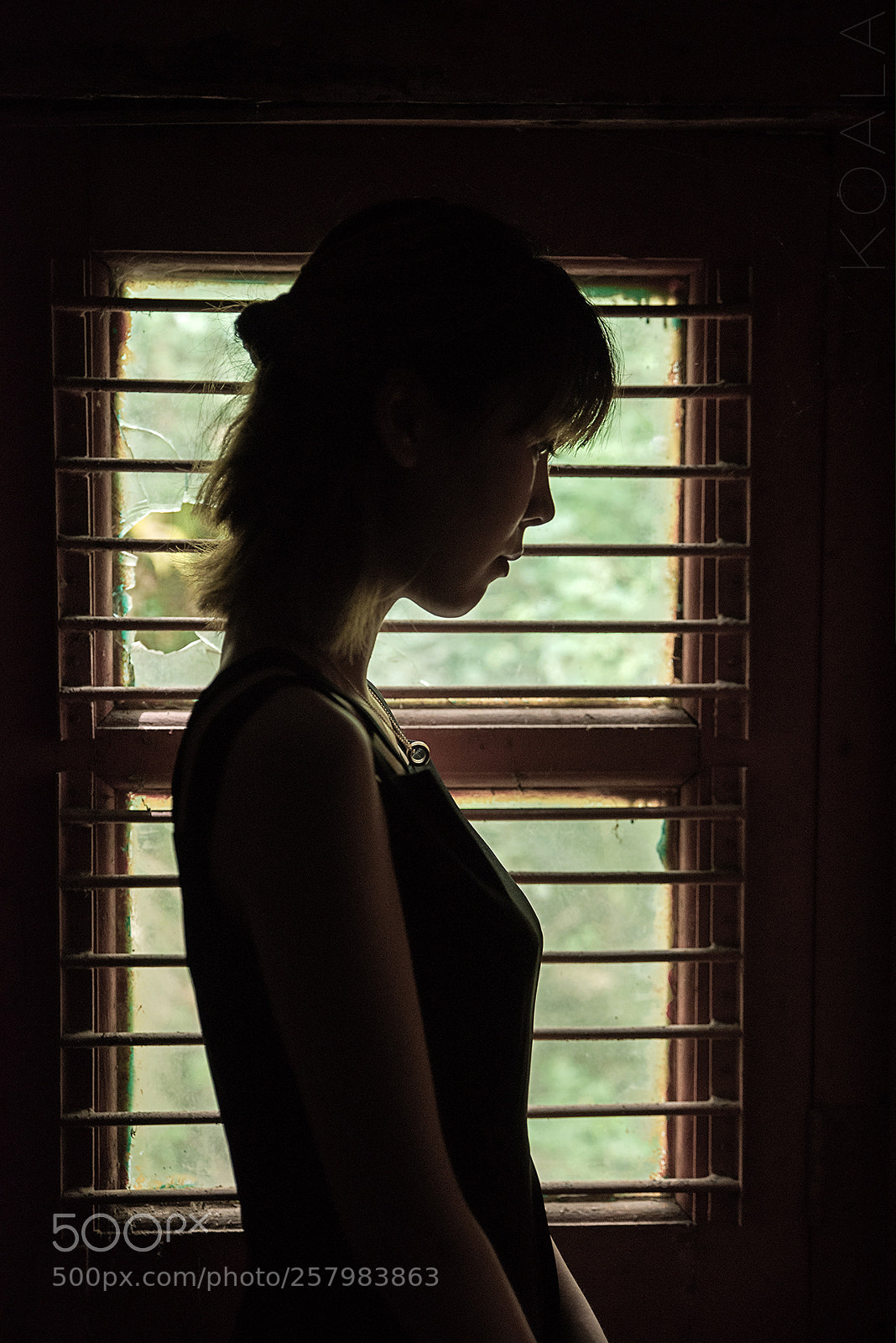 Nikon D810 sample photo. 窗 photography