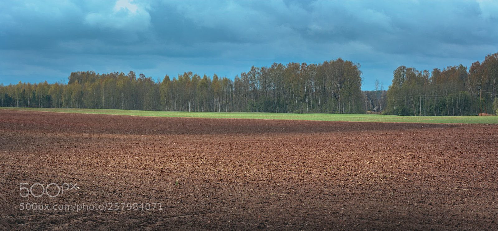 Nikon D5200 sample photo. Tilled crop fields in photography