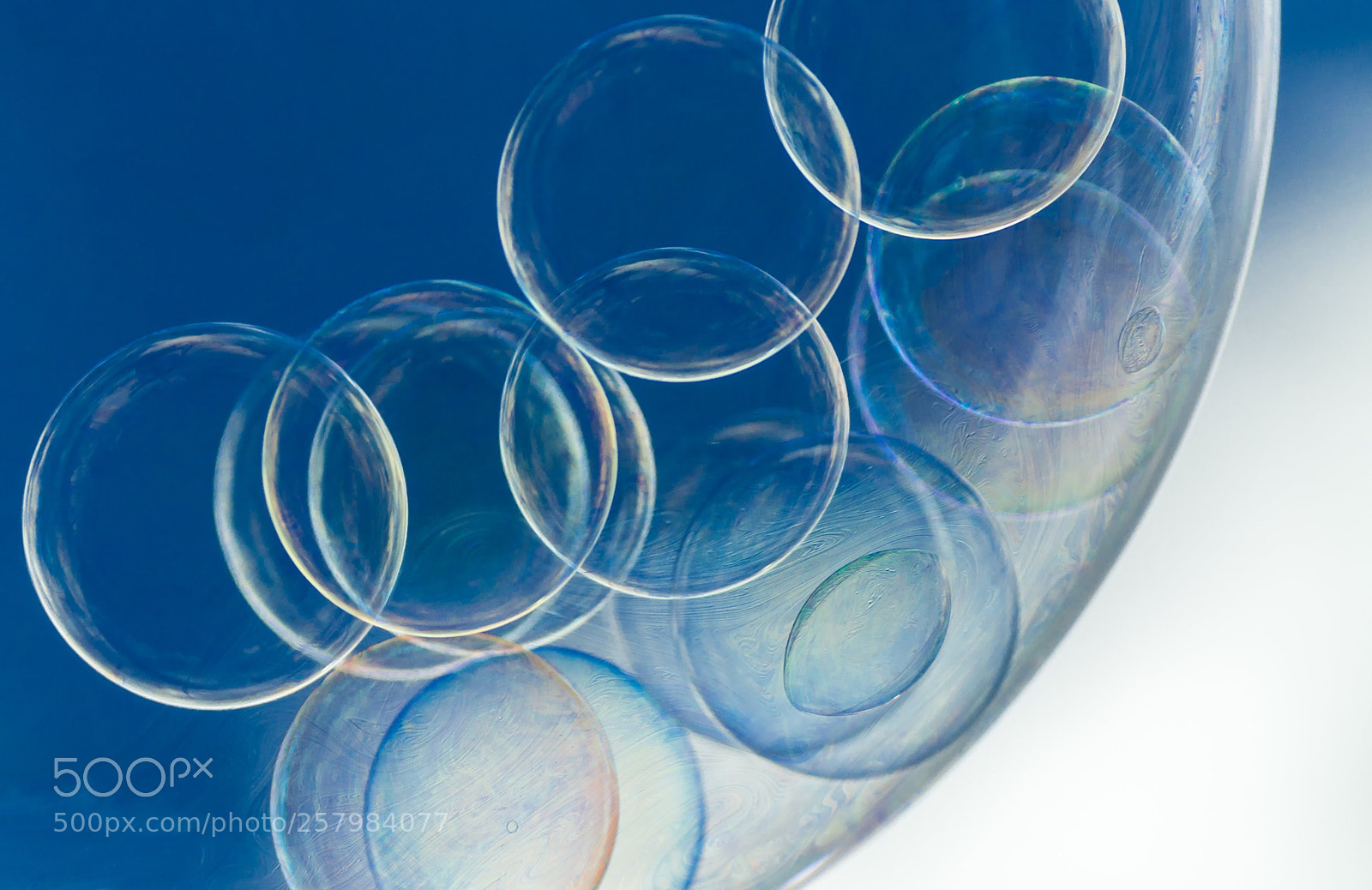 Nikon D90 sample photo. Bubbles in bubbles photography