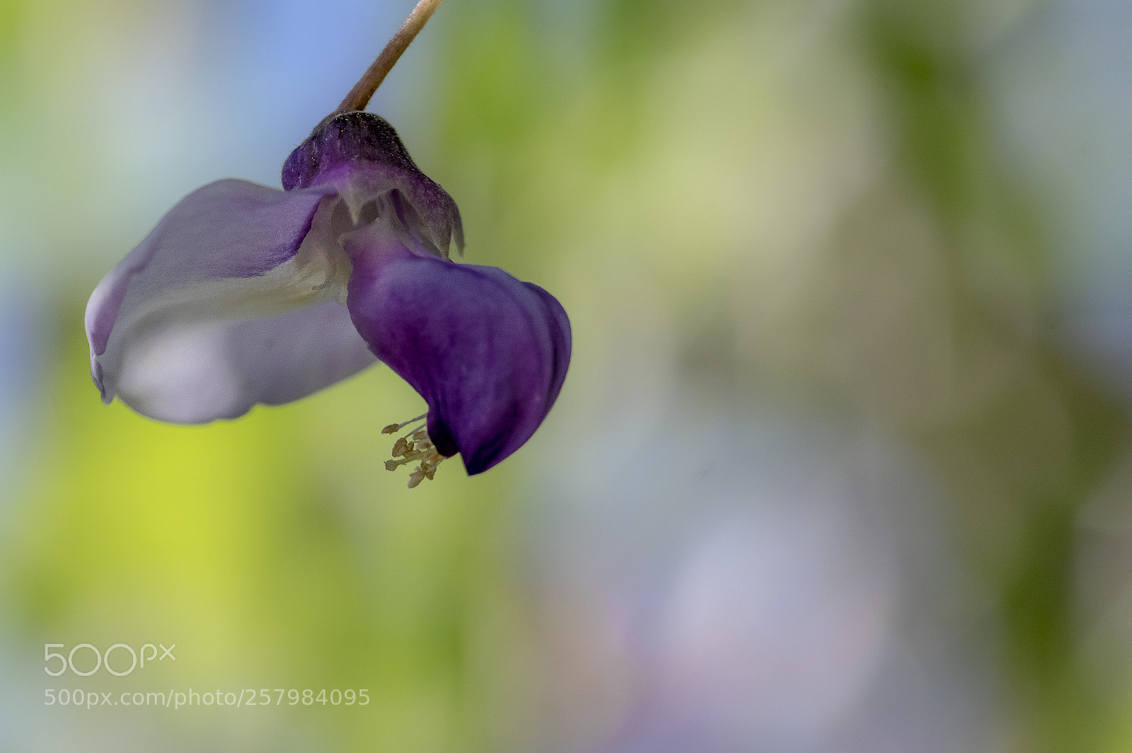 Pentax K-3 sample photo. Colors photography