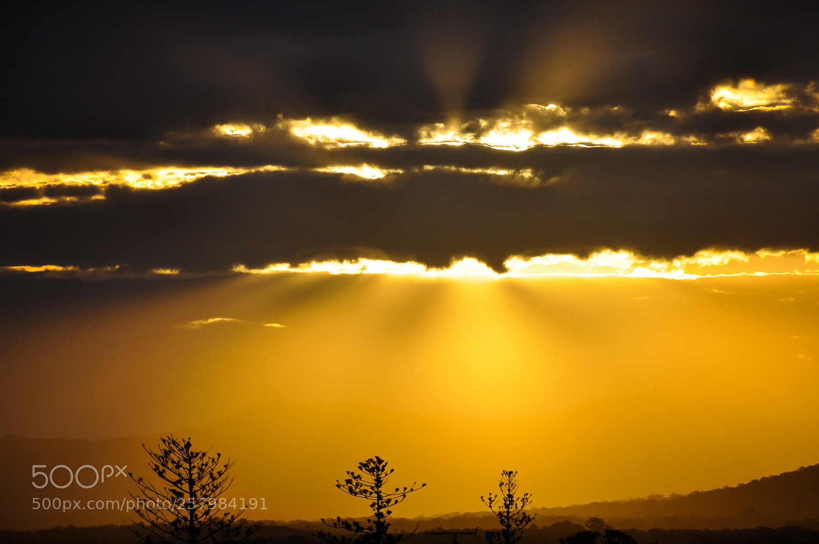 Nikon D90 sample photo. Golden sun rays photography