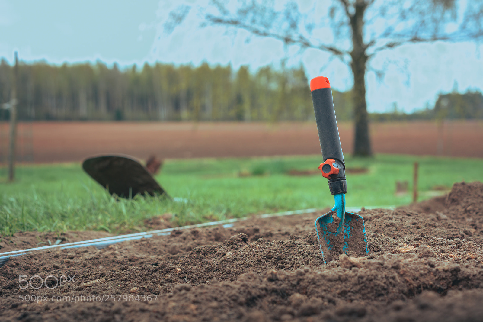 Nikon D5200 sample photo. Tilled crop fields in photography