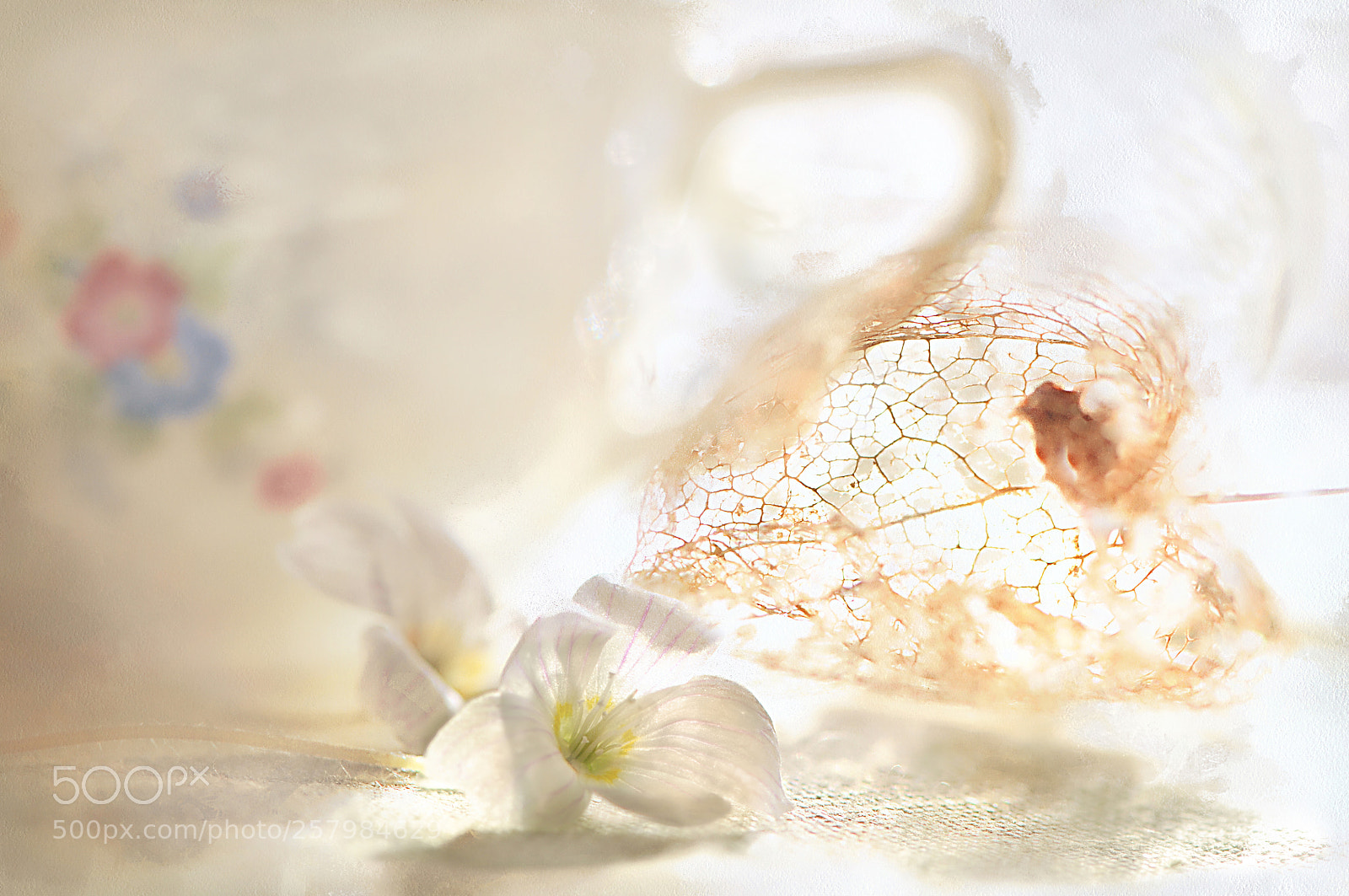 Nikon D90 sample photo. Some sunny morning... photography