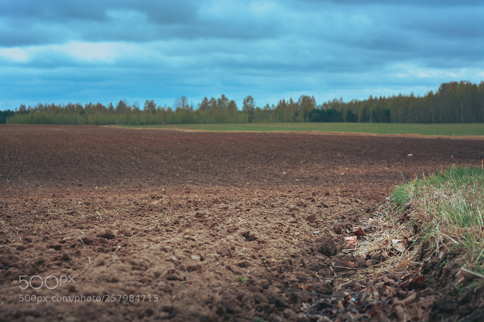 Nikon D5200 sample photo. Tilled crop fields in photography