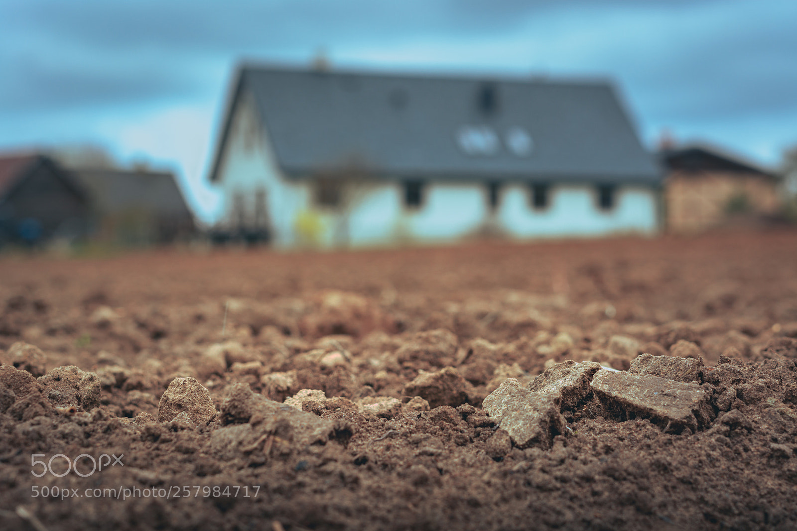 Nikon D5200 sample photo. Tilled crop fields in photography