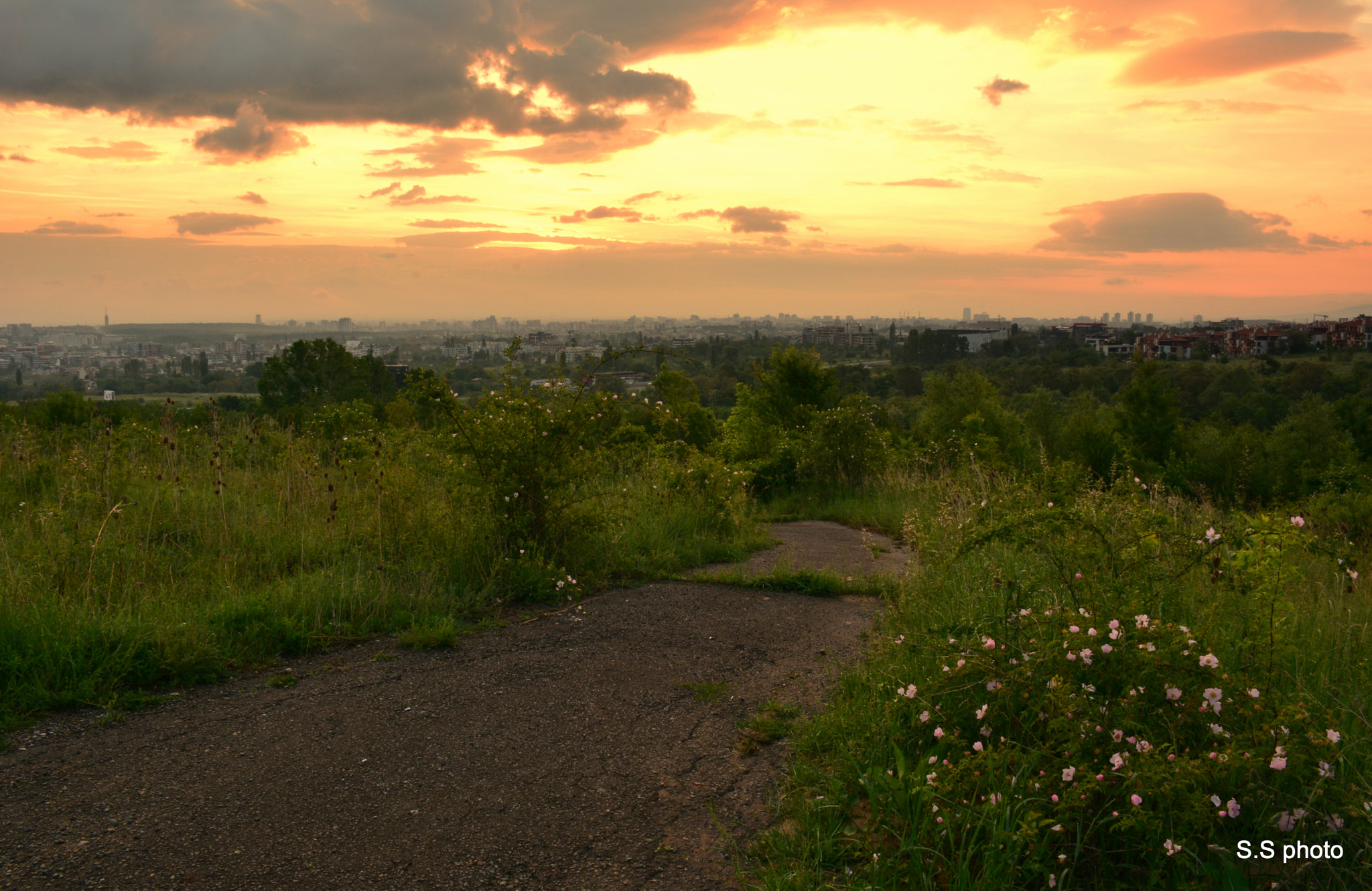 Nikon D7100 sample photo