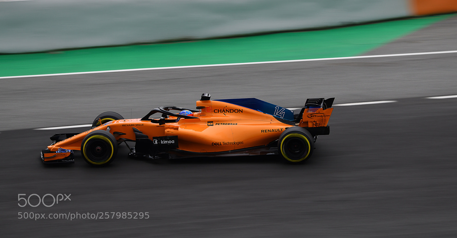 Nikon D850 sample photo. Vamos fernando  photography