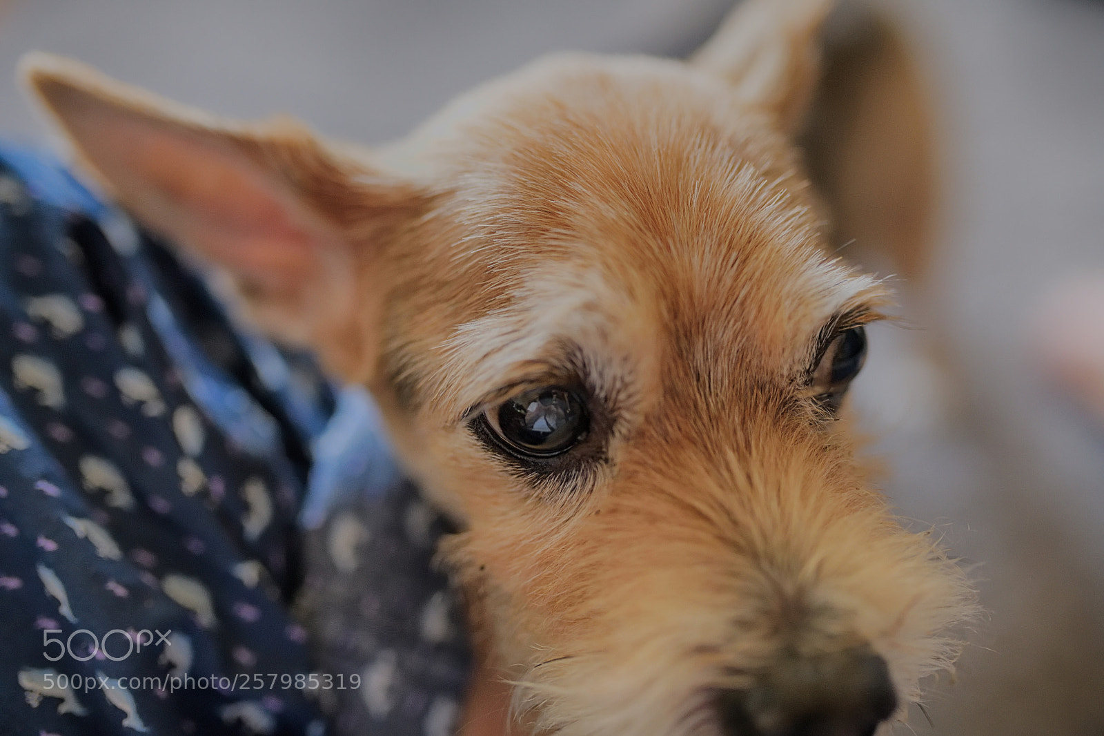 Nikon D850 sample photo. 850_0385_00001.jpg photography