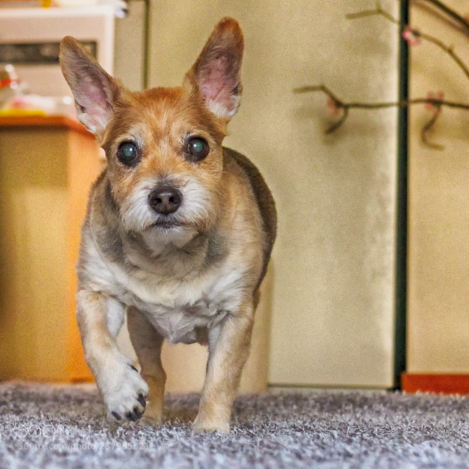 Nikon D850 sample photo. 850_0448_00001.jpg photography