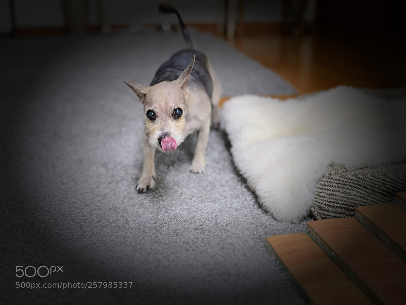Nikon D850 sample photo. 850_0584_00001.jpg photography