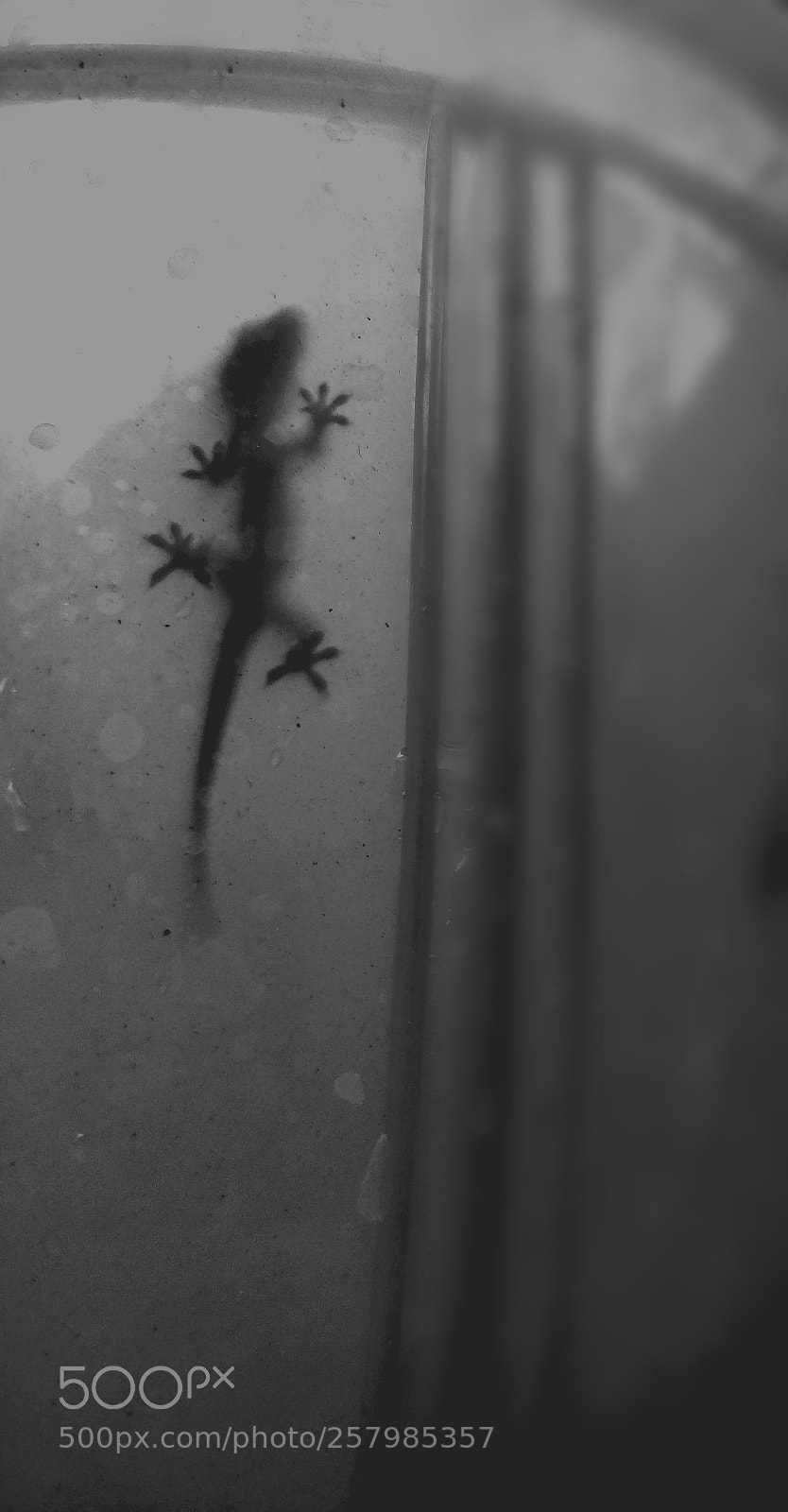 OnePlus 5T sample photo. Untitled photography