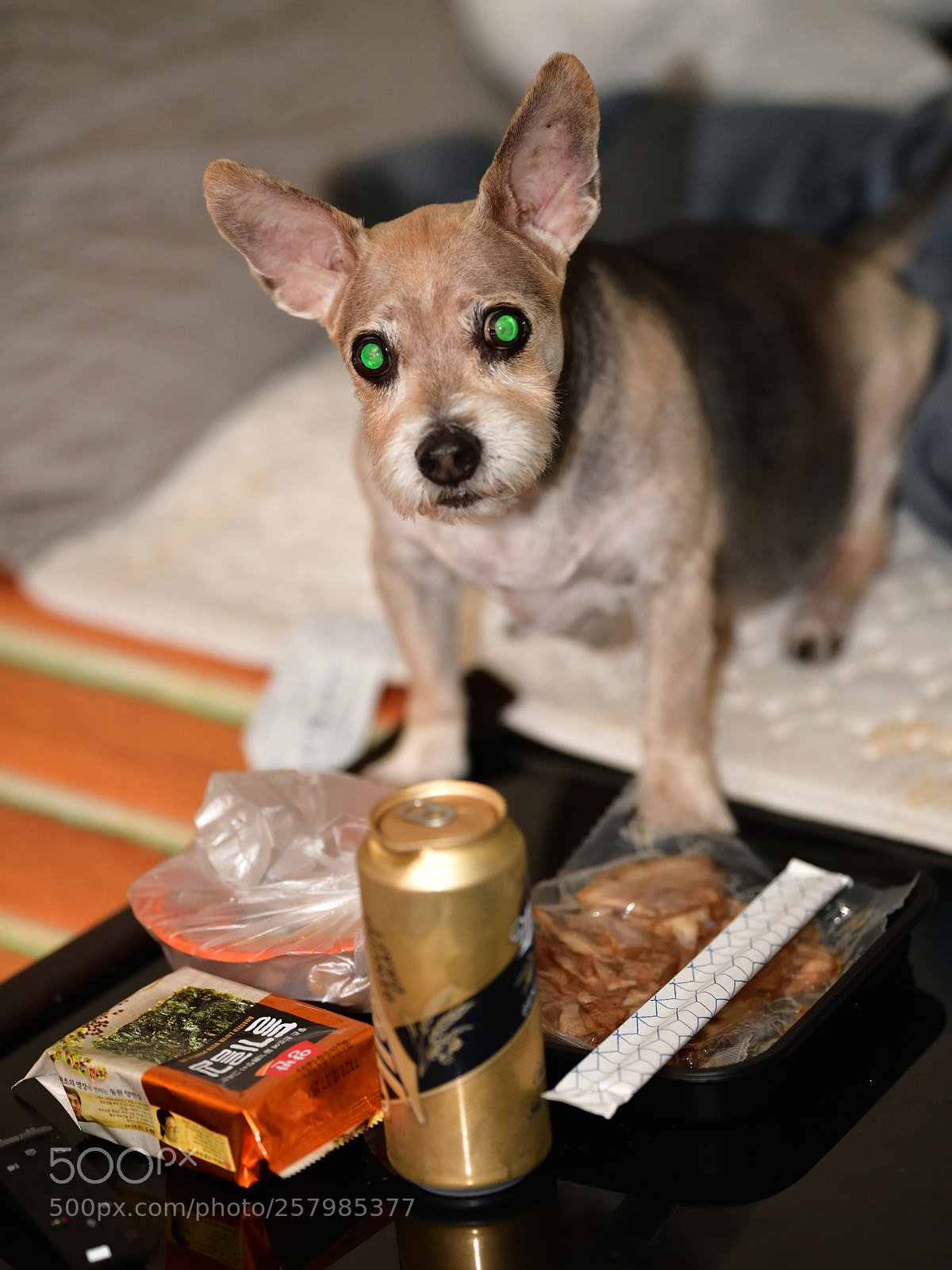 Nikon D850 sample photo. 850_0844_00001.jpg photography