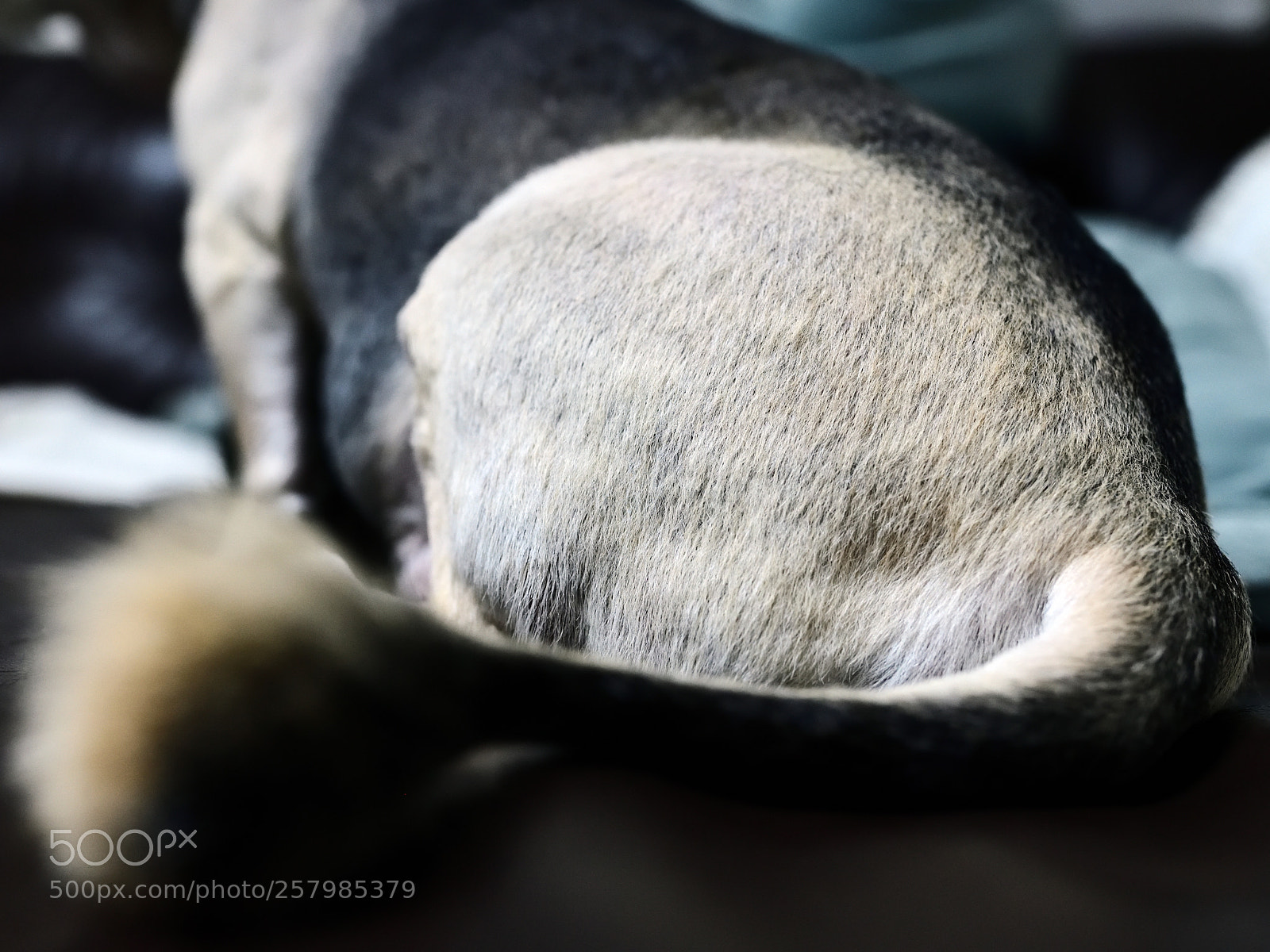Nikon D850 sample photo. 850_1048_00001.jpg photography