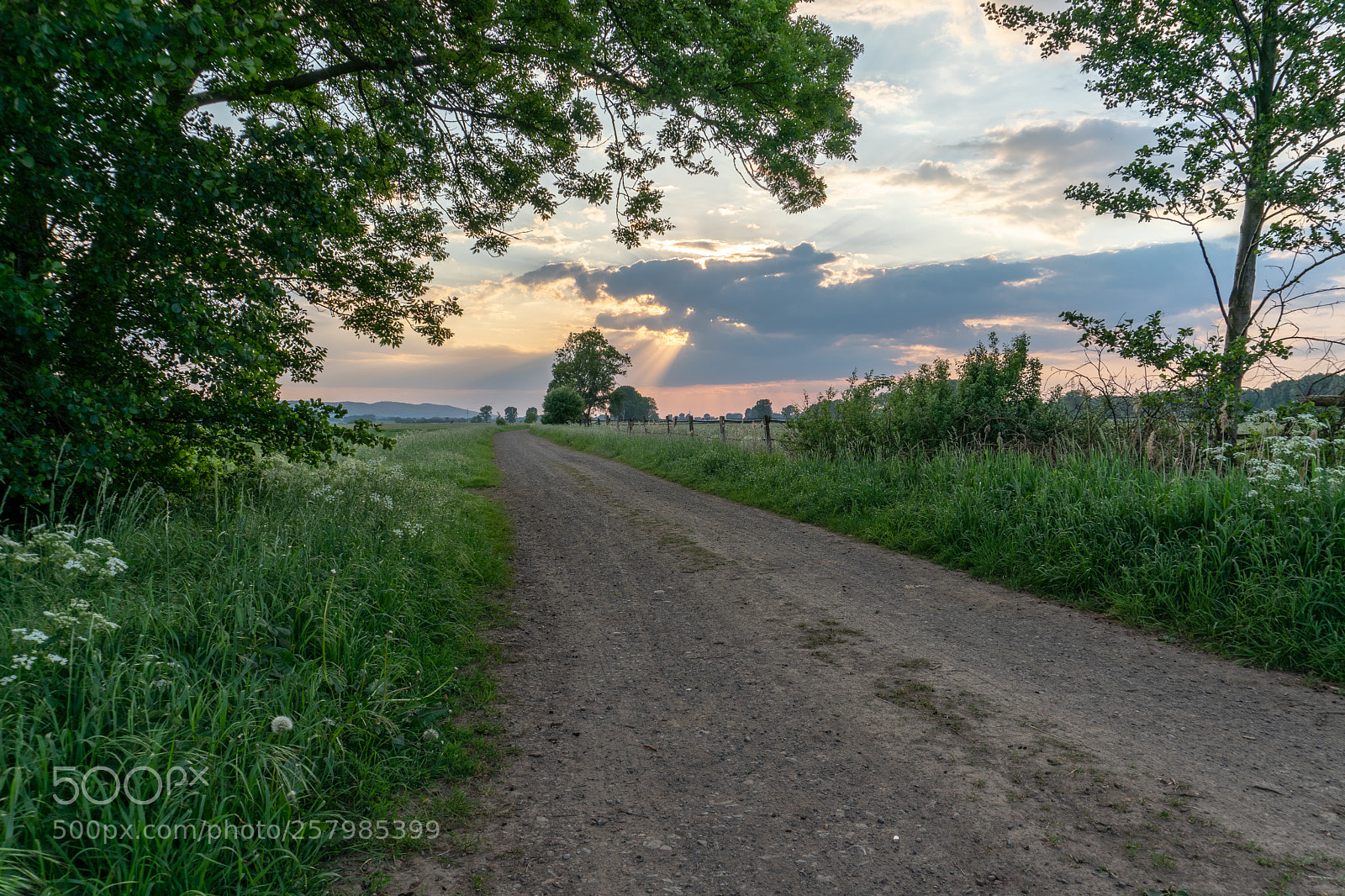 Sony a6300 sample photo. Storchennest im abendlicht photography