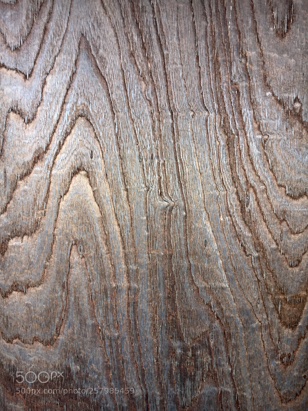 Apple iPhone 6s sample photo. Untitled photography