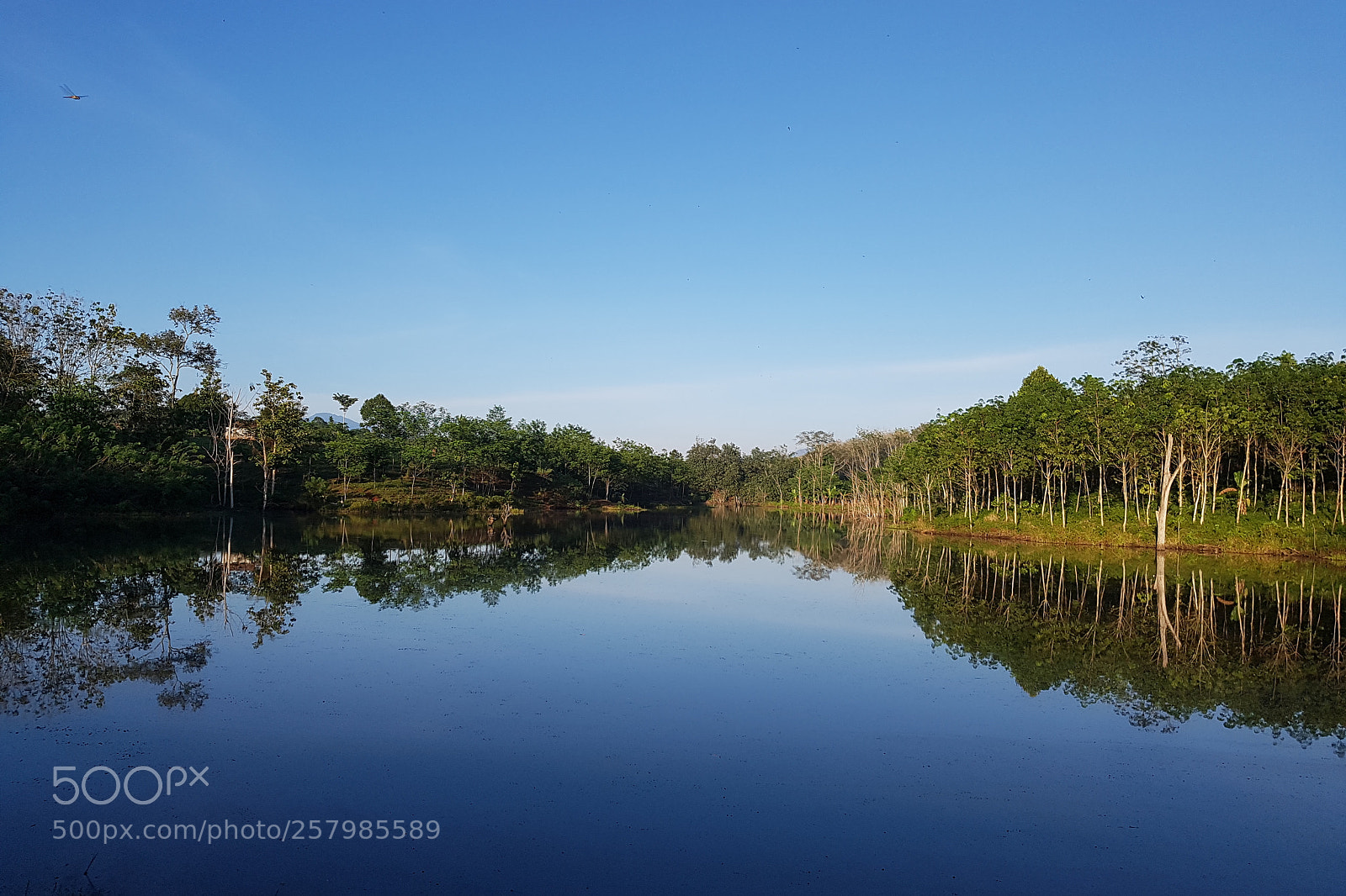Samsung Galaxy S7 sample photo. Reflection photography