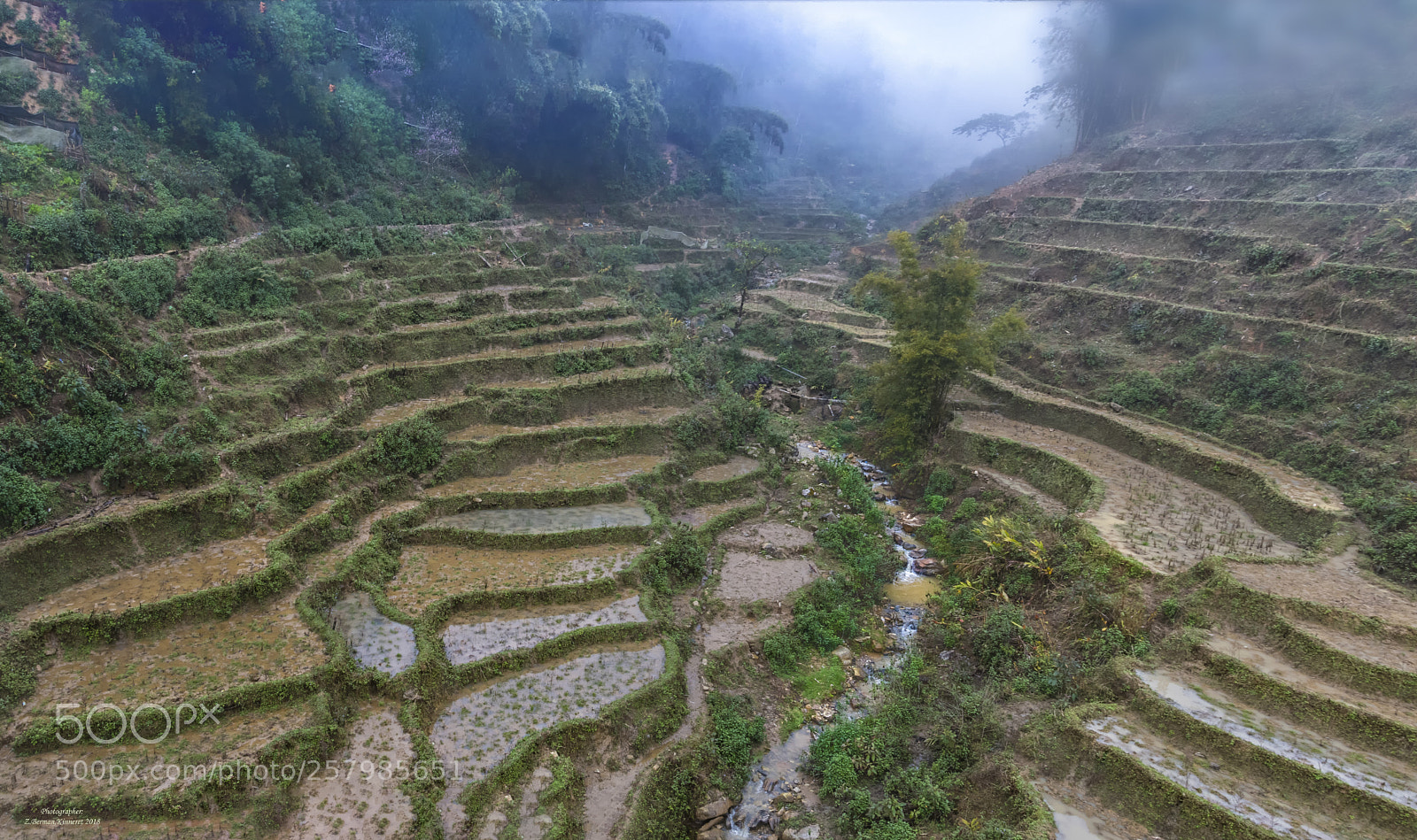 Nikon D500 sample photo. Vietnam, sapa, fog and photography