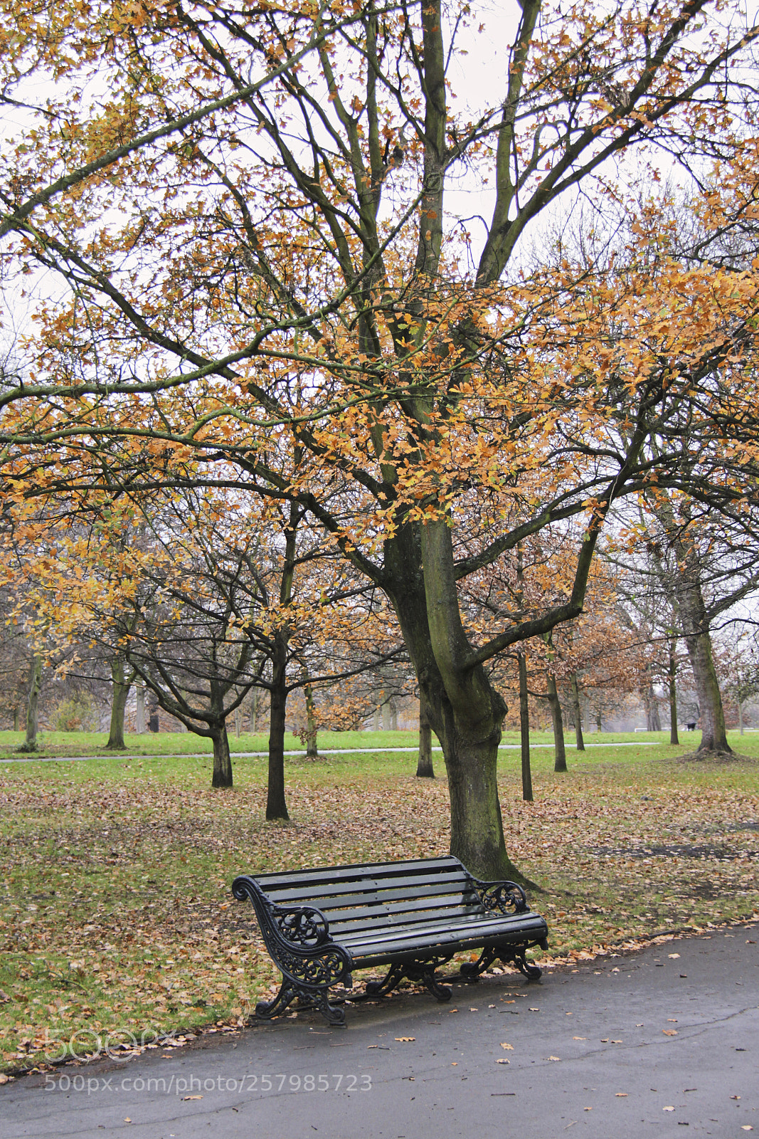 Canon EOS 550D (EOS Rebel T2i / EOS Kiss X4) sample photo. Regents park bench photography
