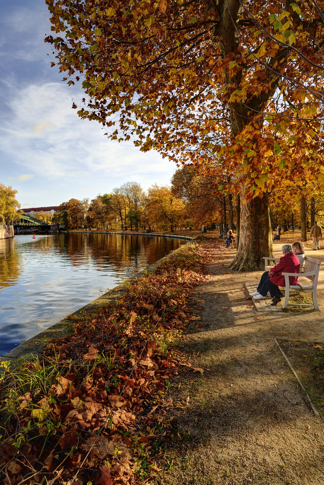 Nikon D600 + Nikon AF-S Nikkor 18-35mm F3.5-4.5G ED sample photo. Autumn in charlottenburg park photography