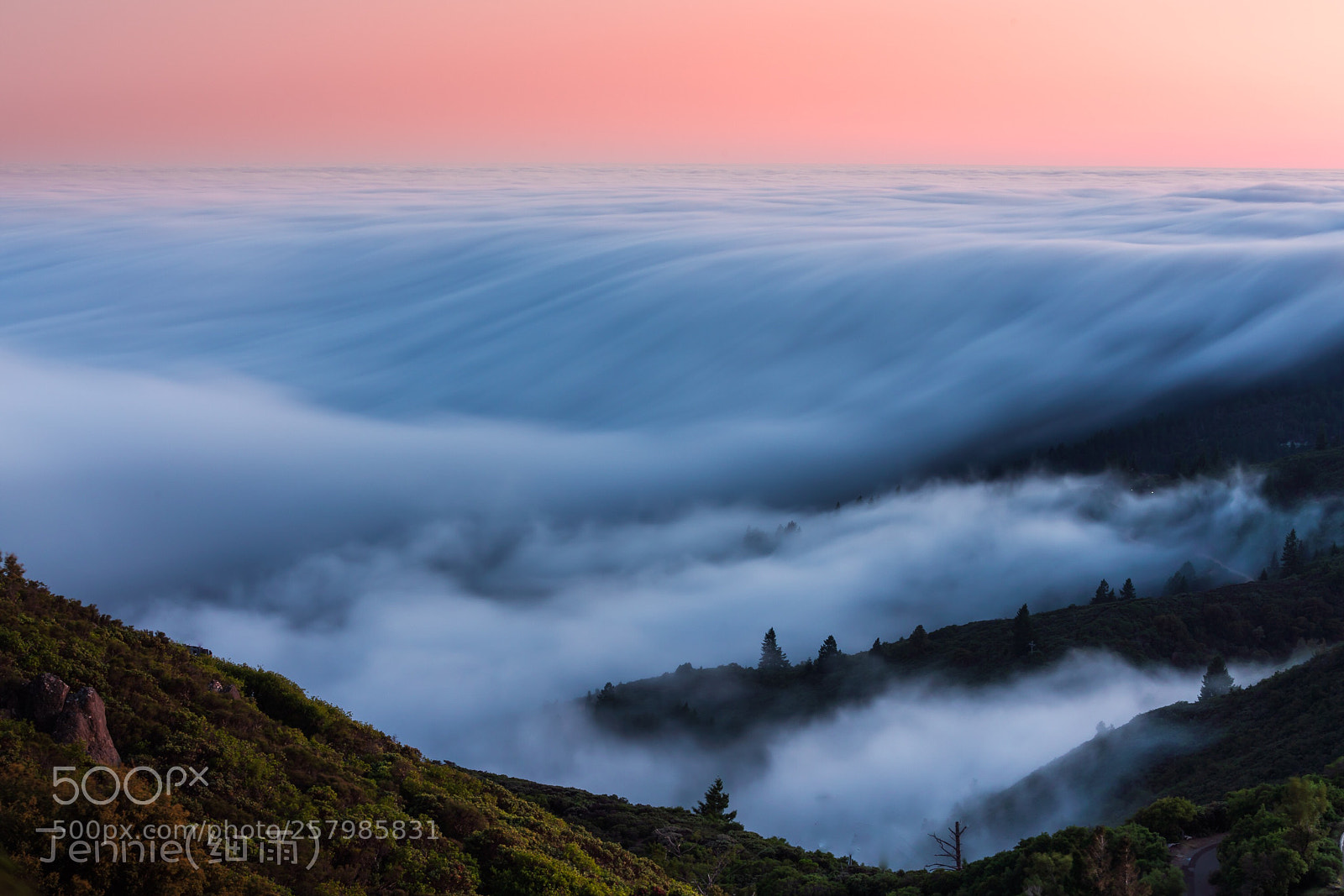 Sony a7R III sample photo. Sea of clouds in photography