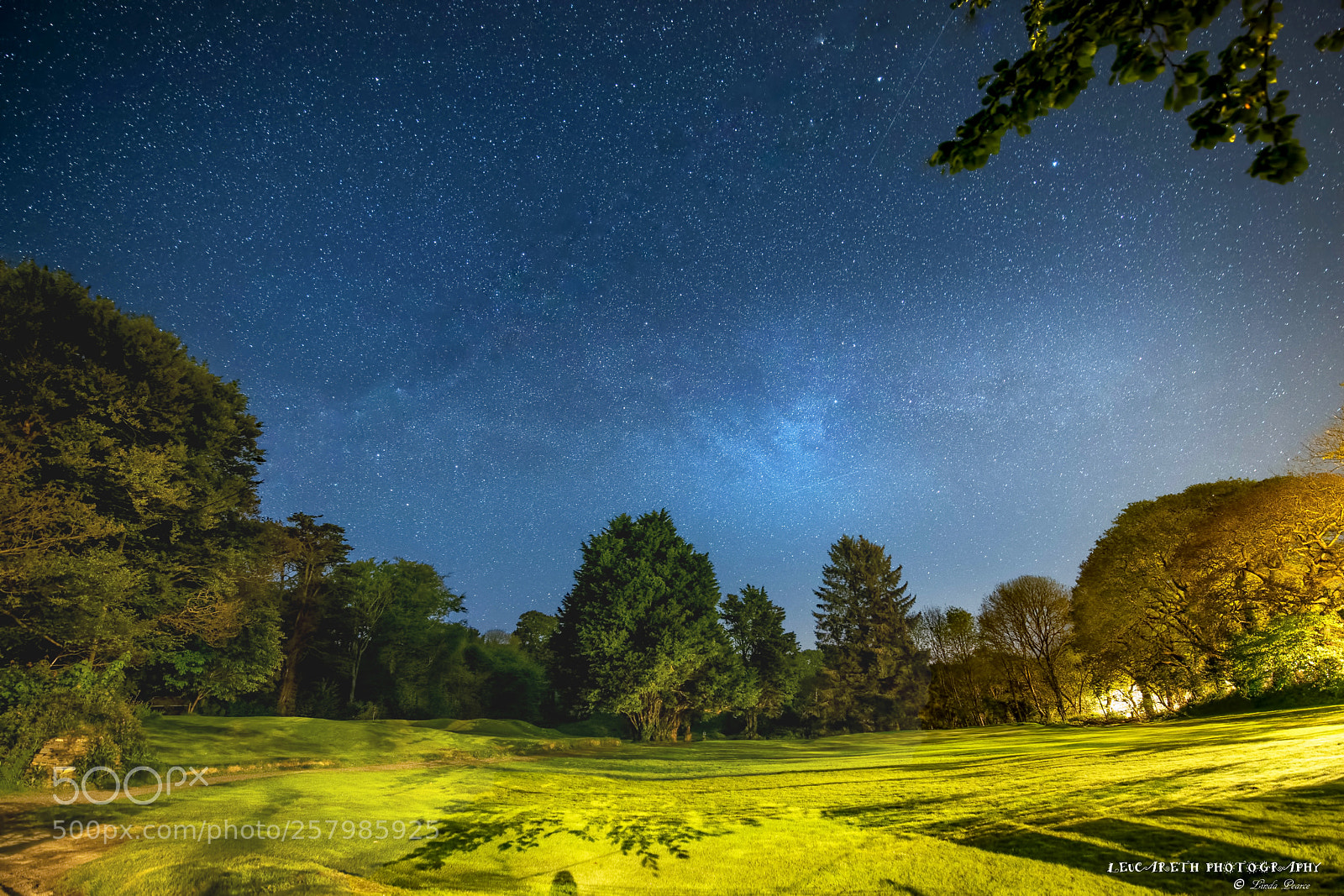 Nikon D850 sample photo. Stary stary night photography