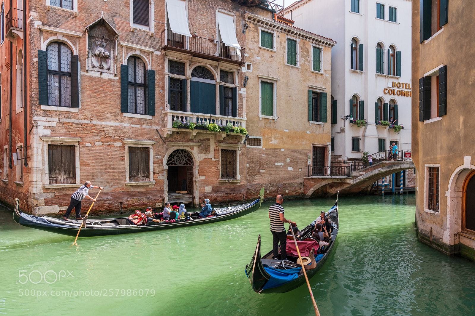 Sony a7R III sample photo. Streets of venice photography