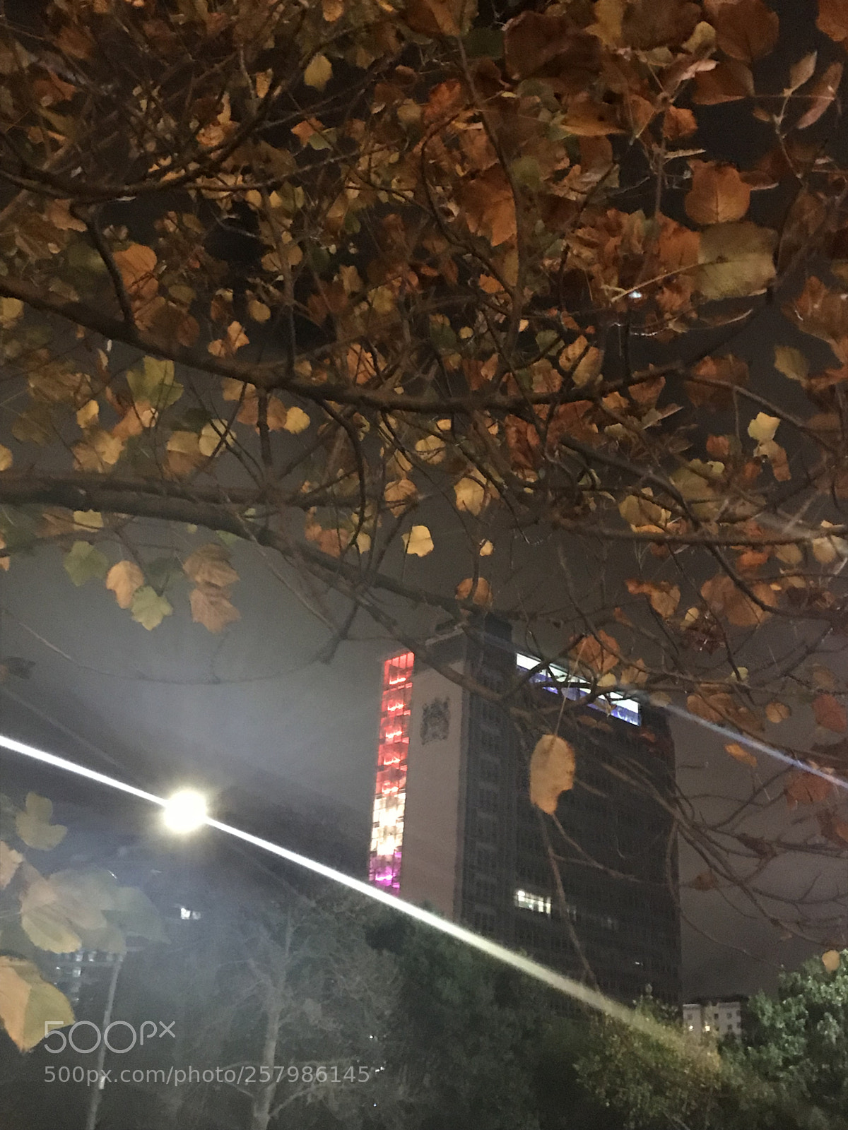 Apple iPhone 7 sample photo. Untitled photography