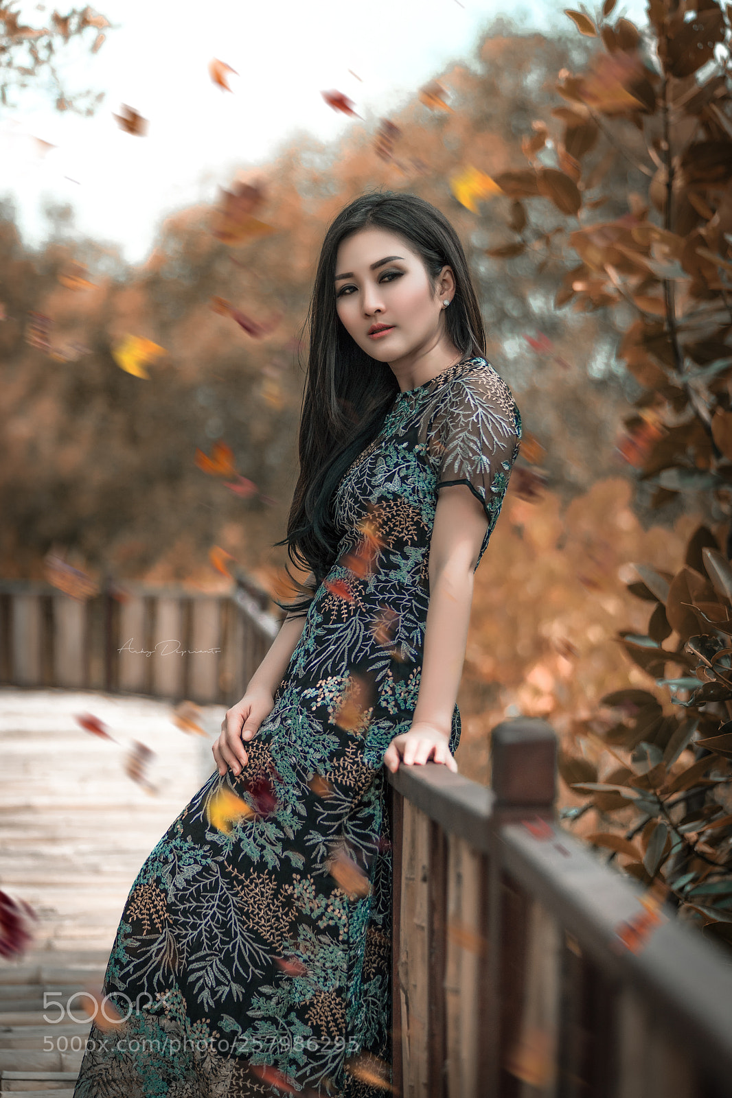 Sony a7 II sample photo. See u photography