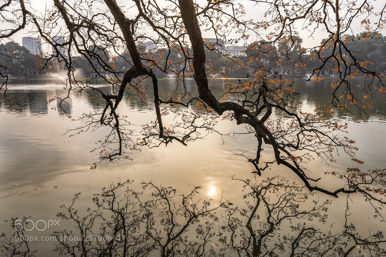 Canon EOS 6D sample photo. Change leaves season in photography
