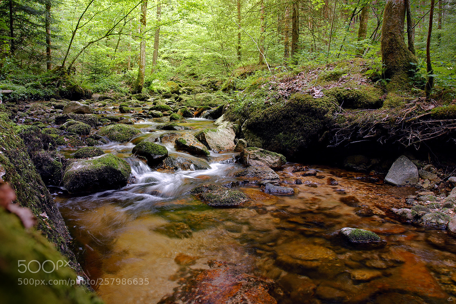 Canon EOS 5D Mark IV sample photo. Stillensteinklamm... photography