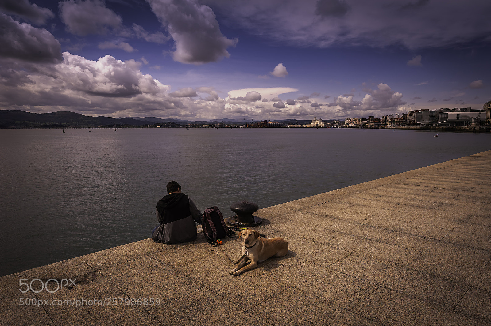 Nikon D700 sample photo. Un perro fiel photography