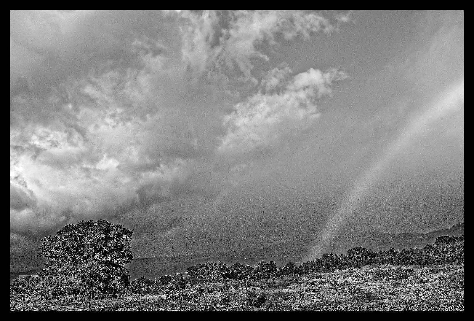 Nikon D7000 sample photo. L'arbre et l'arc en photography