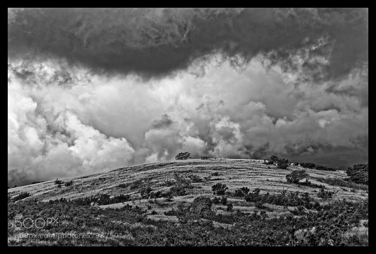 Nikon D7000 sample photo. La savane de l'ouest photography