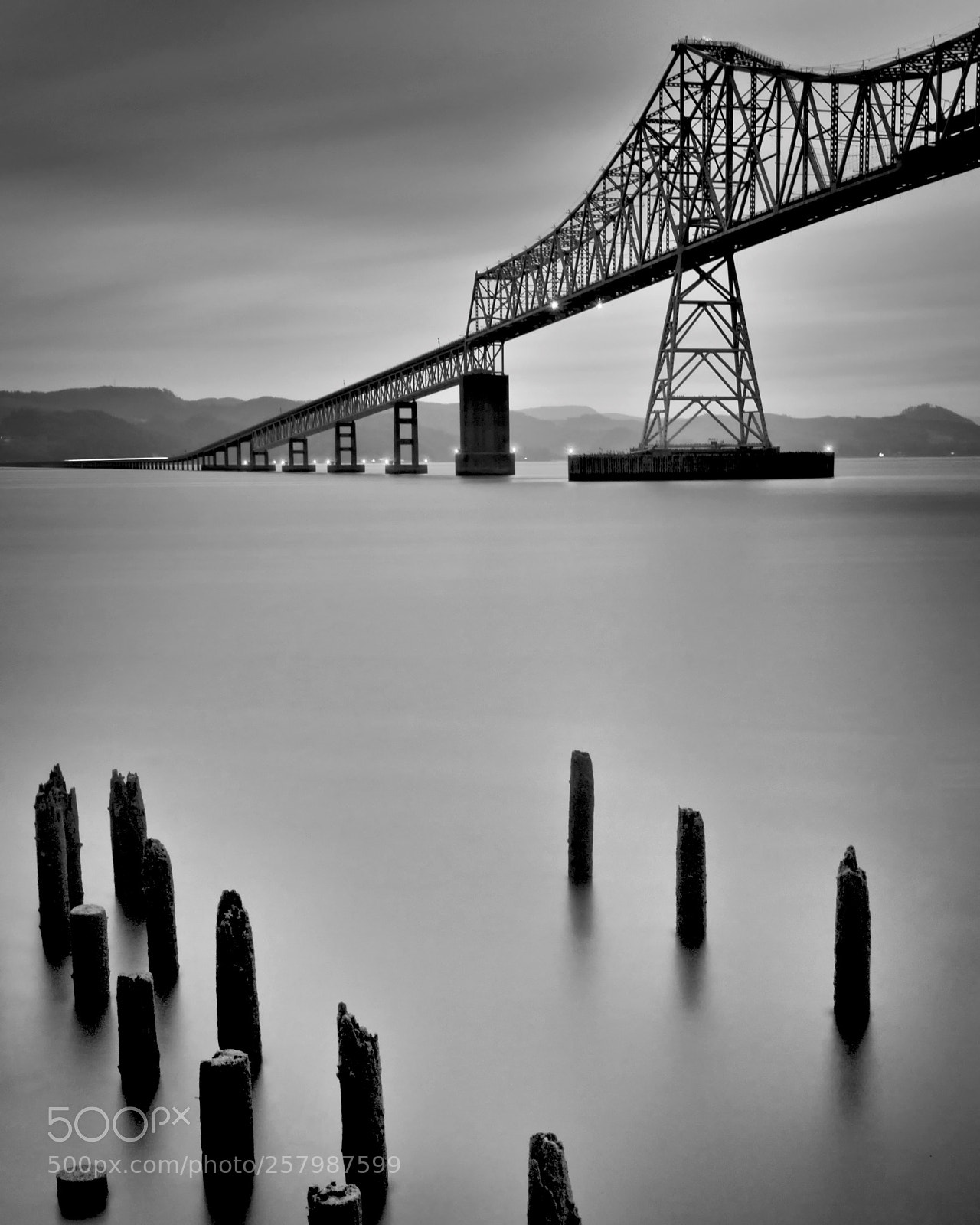 Nikon D300S sample photo. Astoria-megler bridge (monochrome) photography