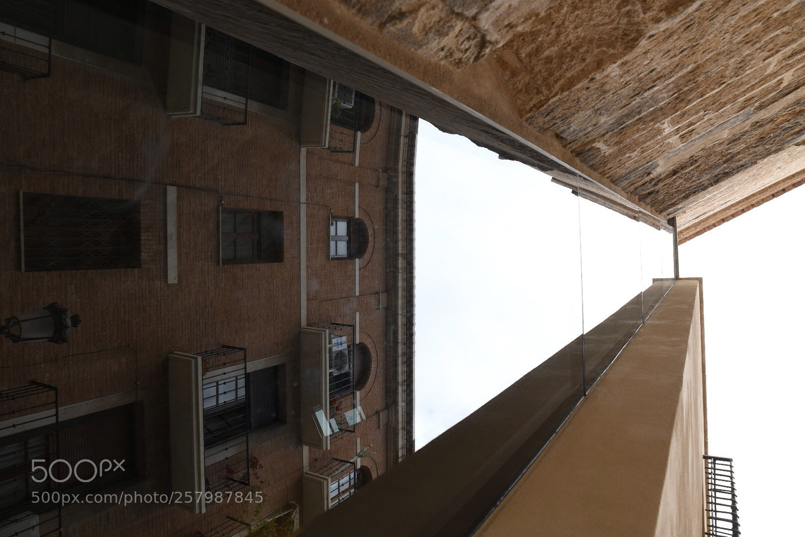 Nikon D850 sample photo. In the window photography