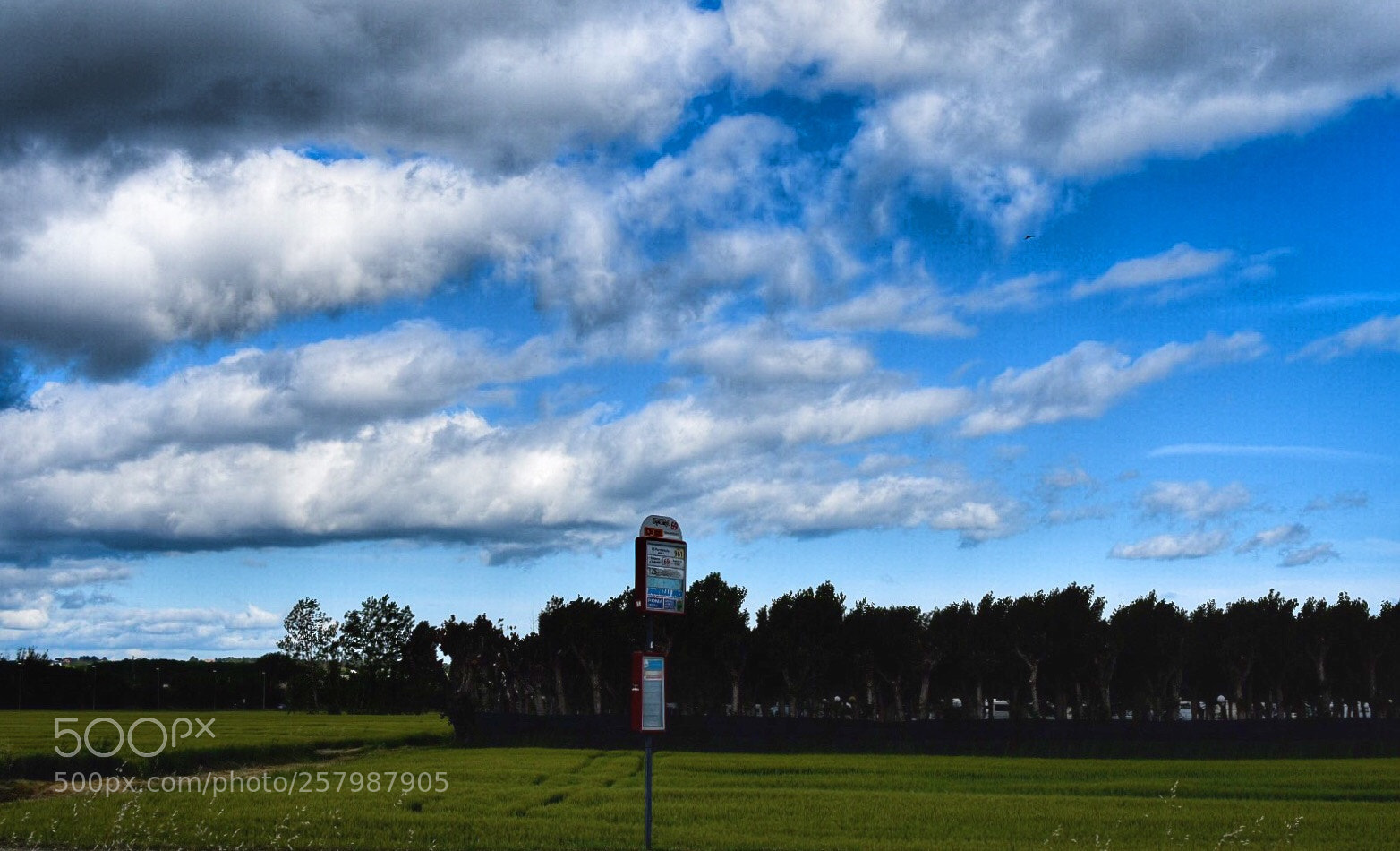Nikon D7200 sample photo. Roads photography
