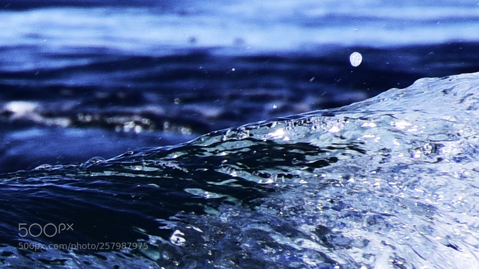 Nikon D810 sample photo. Woa blue photography