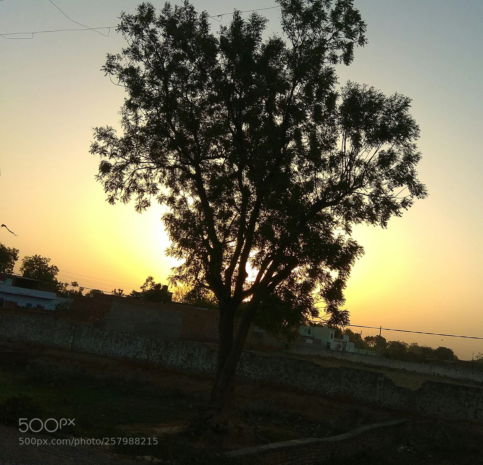 Xiaomi Redmi Note 4 sample photo. Untitled photography