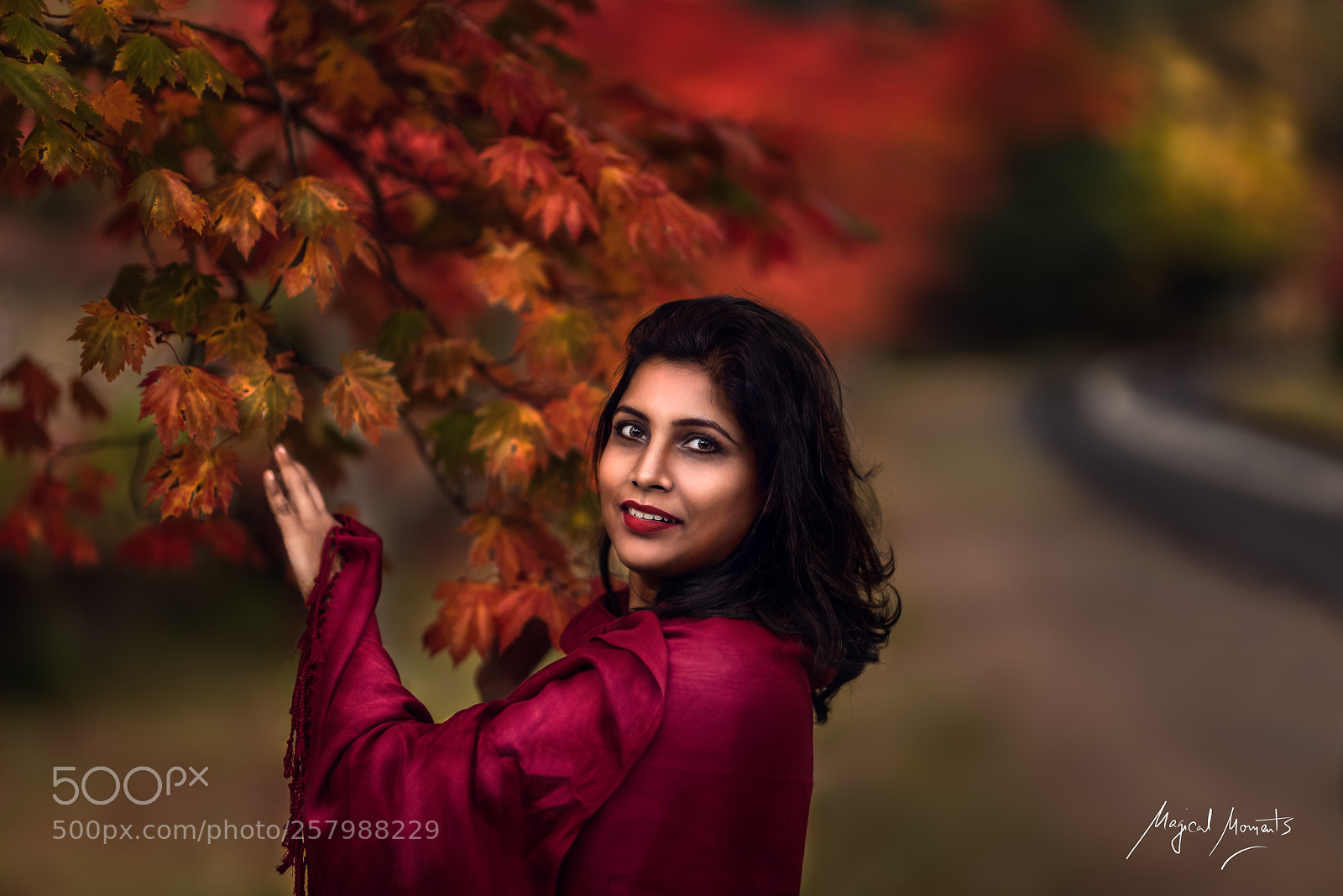 Nikon D750 sample photo. Autumn colours photography