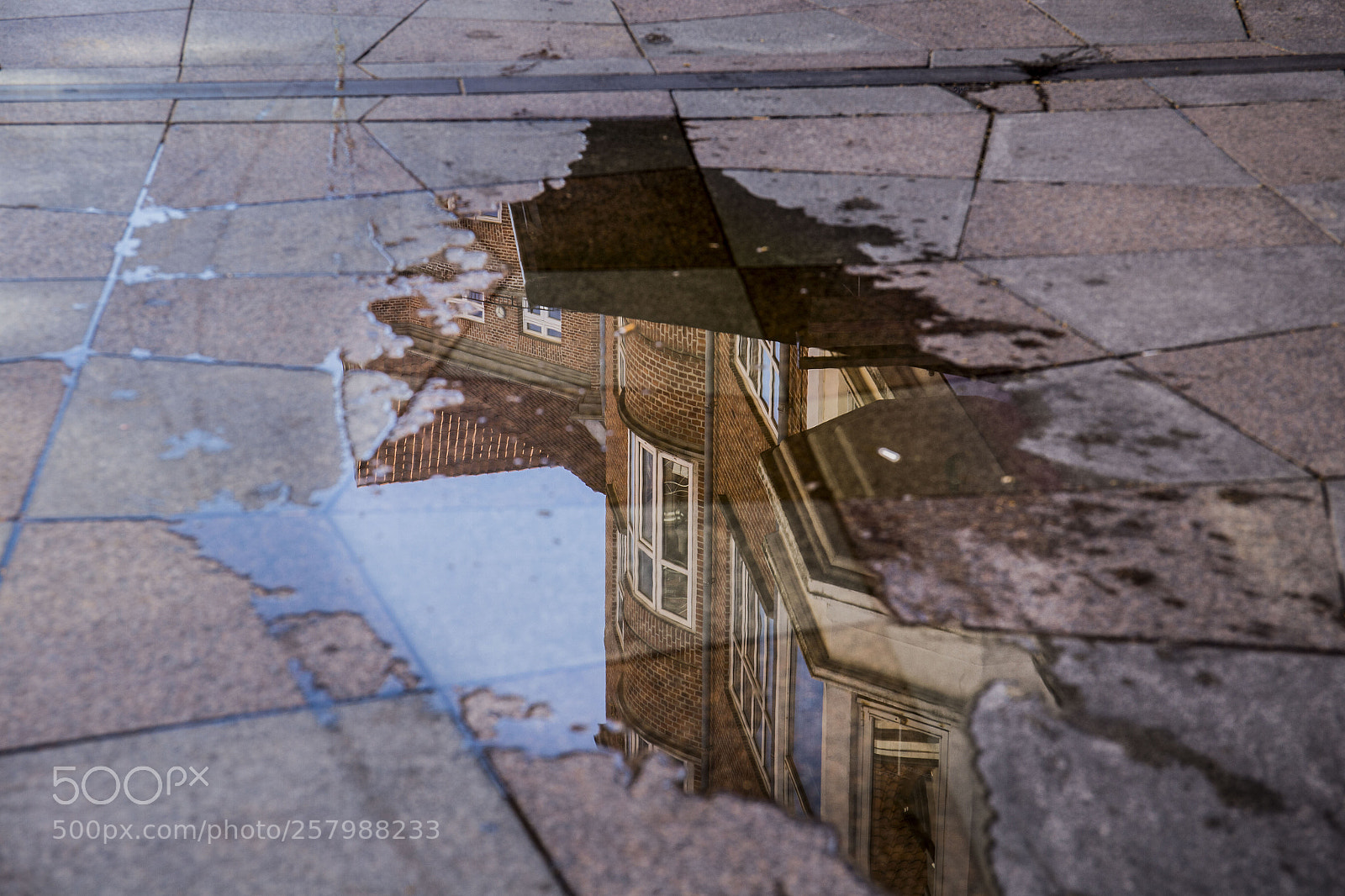 Canon EOS 6D sample photo. Reflection. photography